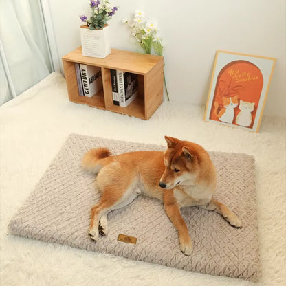 Orthopedic Memory Foam Dog Bed - Washable Cover