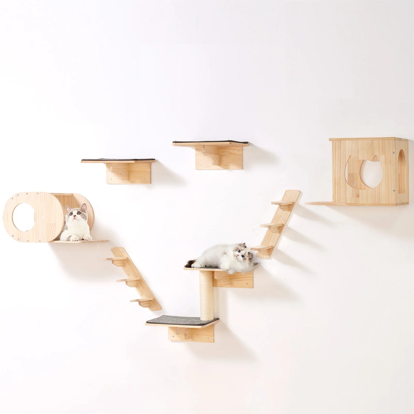 Modern Cat Wall Shelves Set | Wall-Mounted Cat Climbing System